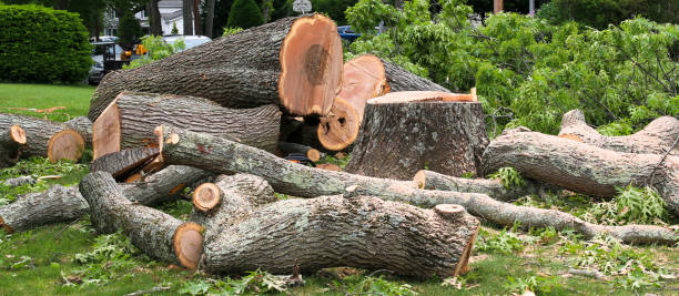 Best Utility Line Clearance  in Lockwood, MT